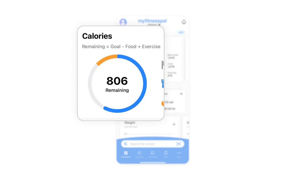Progress visualization builds clarity and motivation