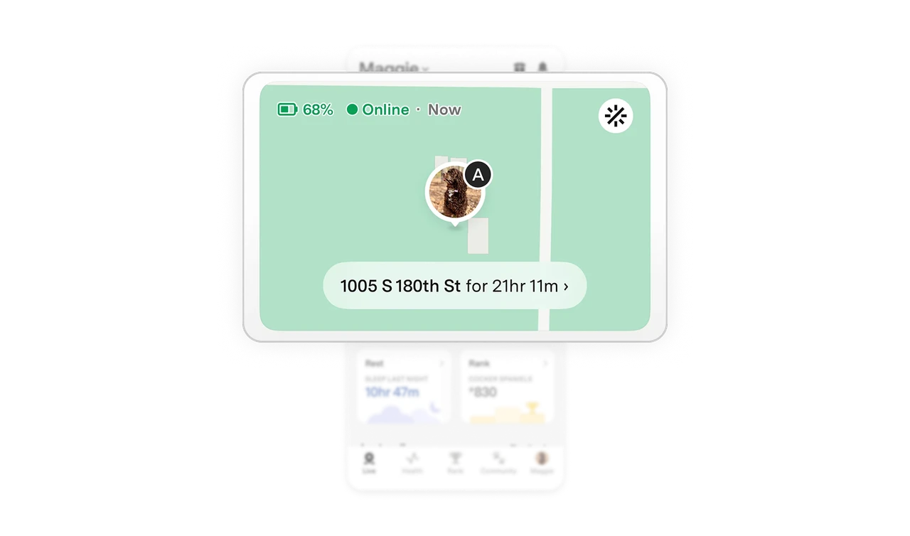 Live map answers the one question users actually open the app for