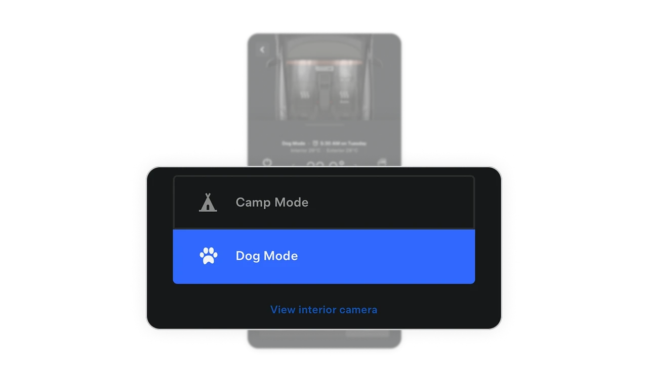 Dog Mode shows the product team understands real life