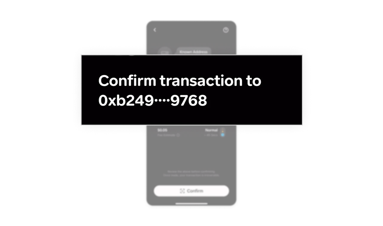 Smart Data Masking with Clear Recognition