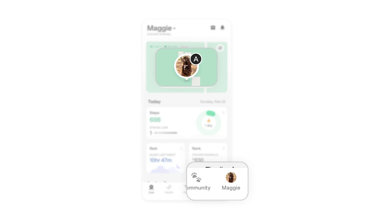 Pet's photo replaces the user's avatar in the bottom nav