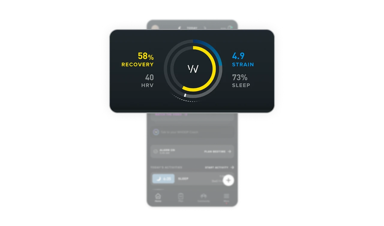 Triple-ring visualization unifies three metrics into one glance
