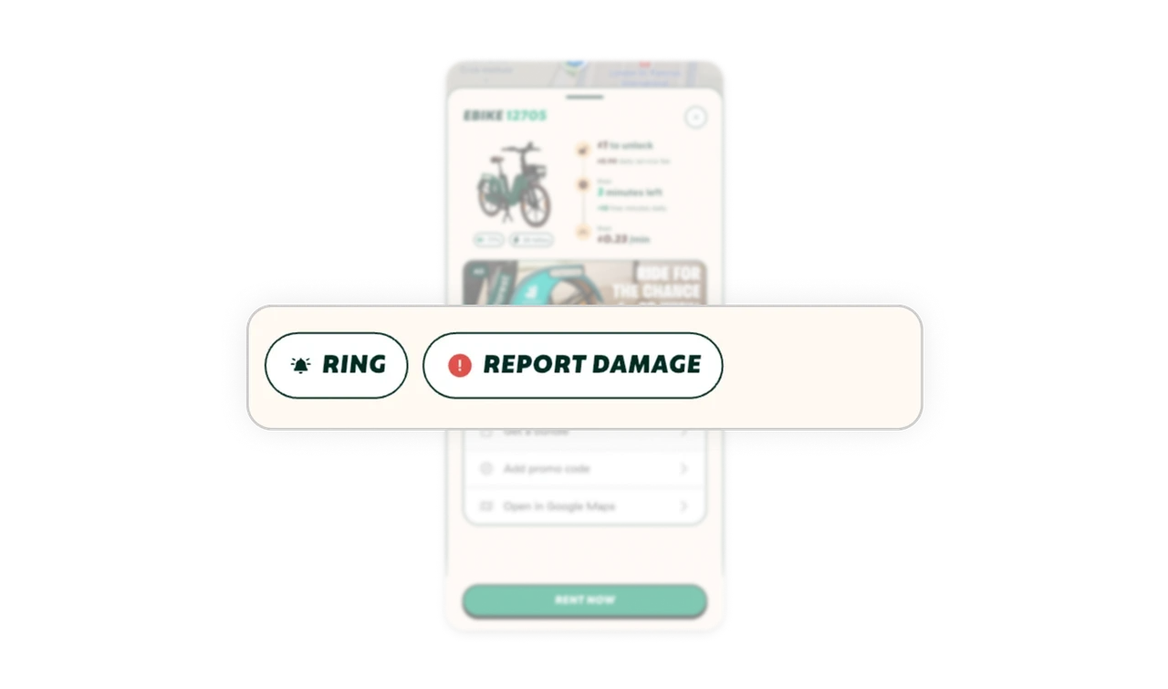 Practical utilities enhance usability and trust