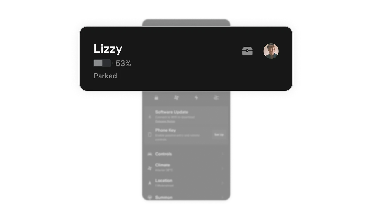 The top section delivers identity and status instantly