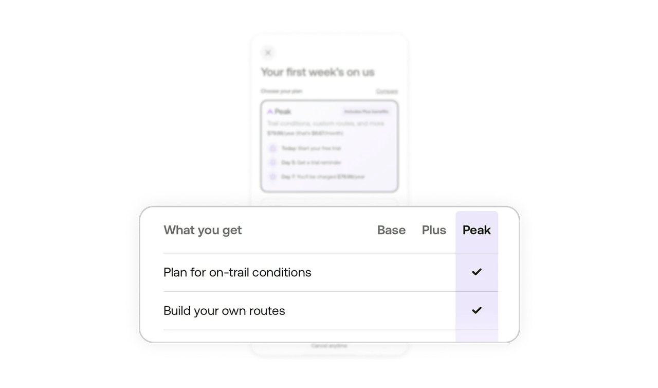Progressive disclosure respects different decision styles