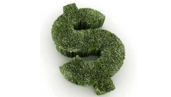 Are You Going Green or Going for the Green?