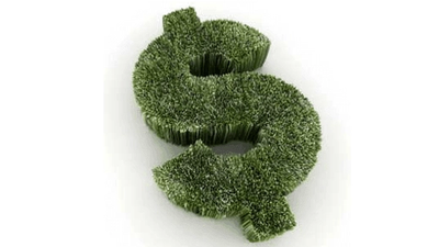 Are You Going Green or Going for the Green?