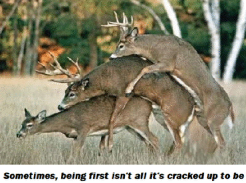 Sometimes, being first isn't all it's cracked up to be