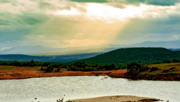 Cloud Computing : The Coming Clouds and Storm