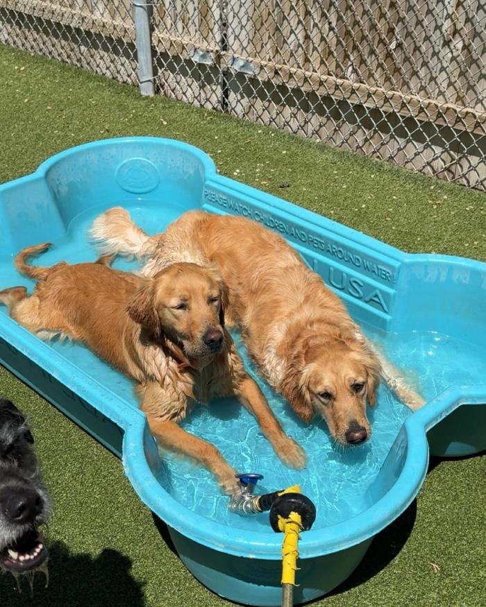 Ready to Get Started?