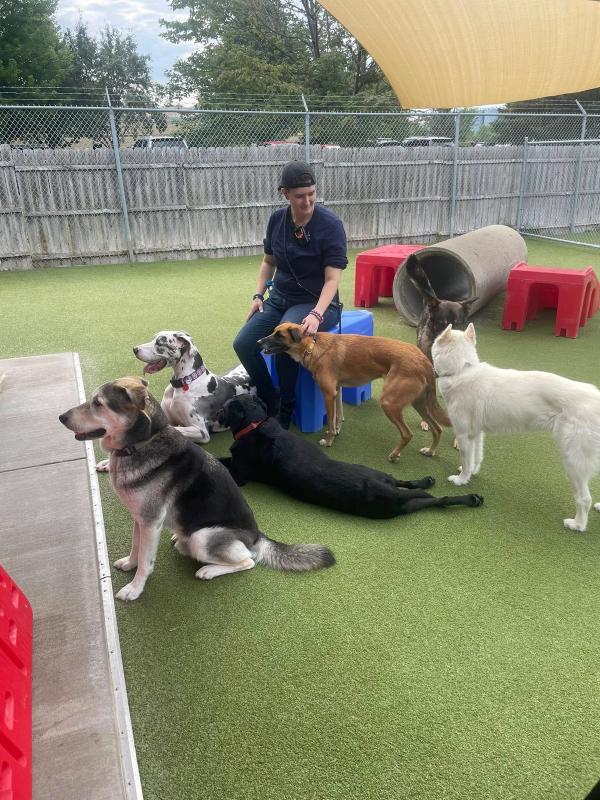 Hound Around Web cams