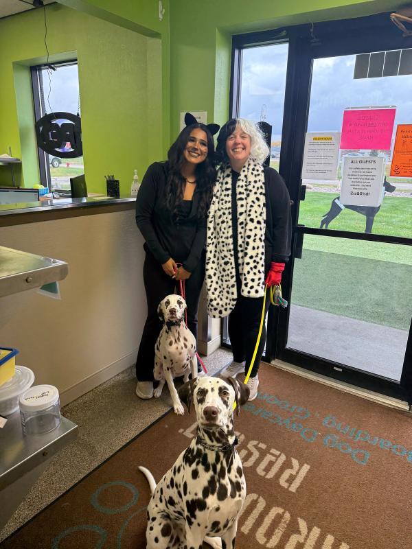 hound around resort around team