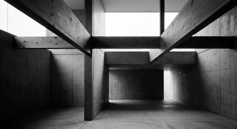 Timber and concrete architectural interior in soft overcast light
