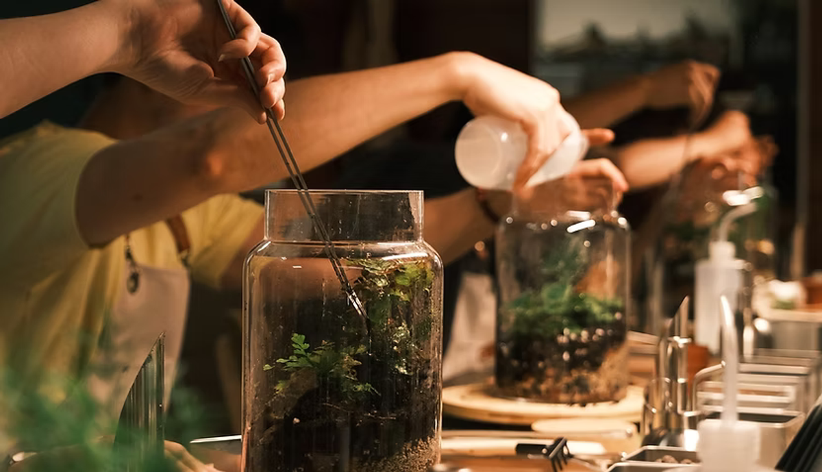 A terrarium building workshop at Oasis Terrarium Studio