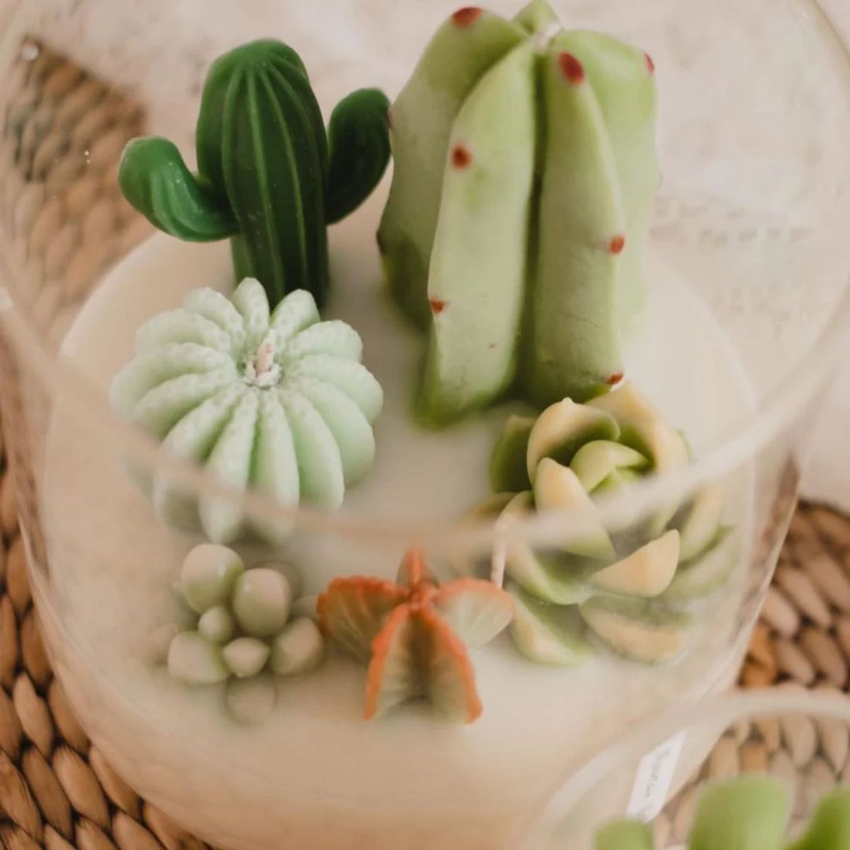 A closeup of a terrarium candle from Zoet Studio