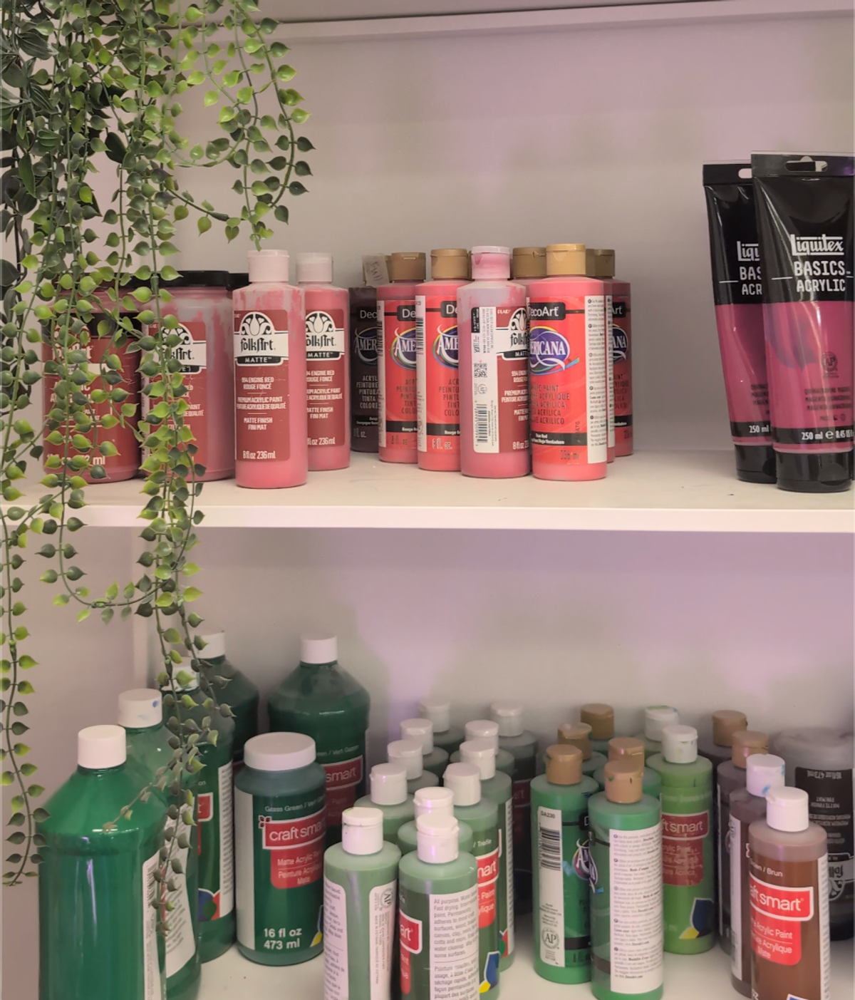 A wall of paint supplies.