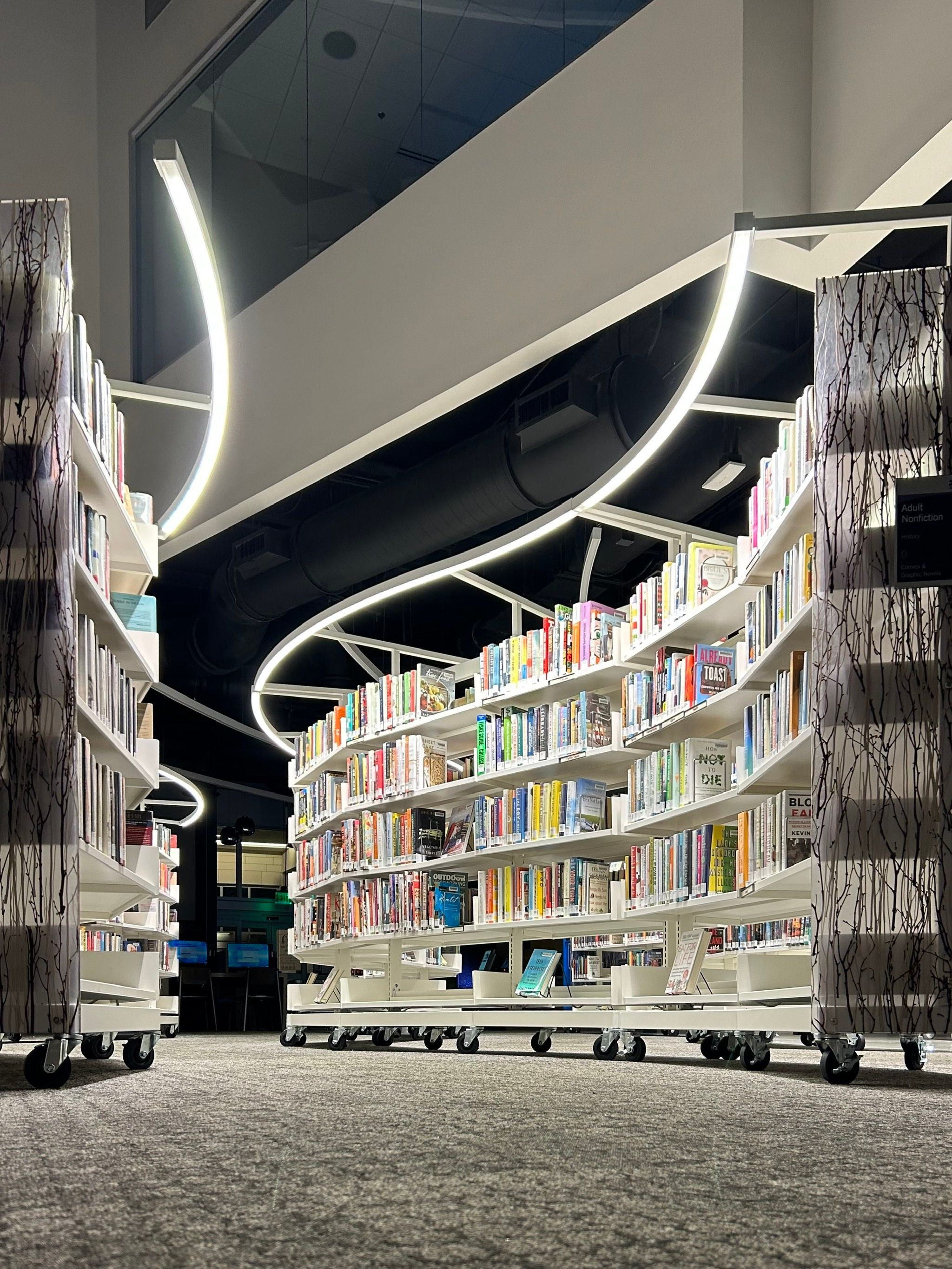 T1c      Goodyear Library, Arizona