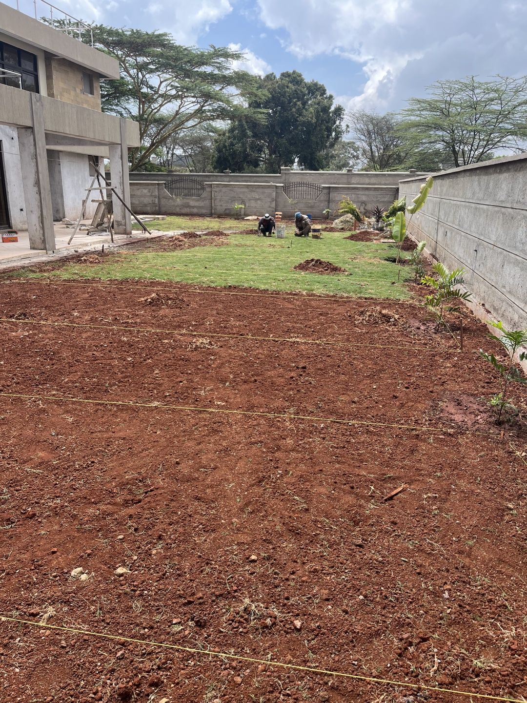 Landscaping for Modern Homes: Transforming Outdoor Spaces into Beautiful Living Environments