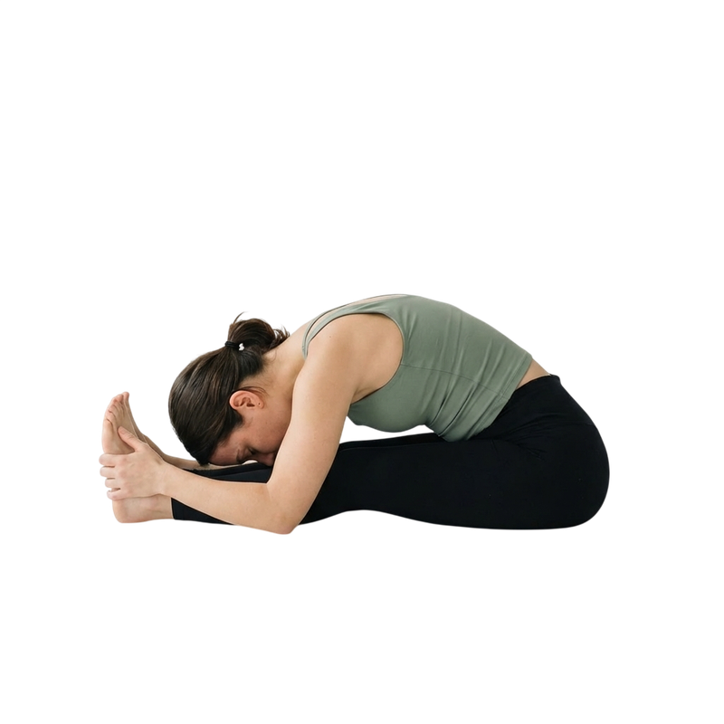 Seated Forward Fold
