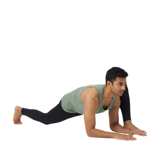 Lizard Pose (Runner's Lunge)