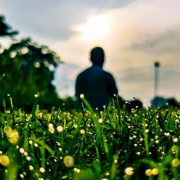 25-Minute Morning Yoga Practice | Chose how you start your day - with intention, breath and movement