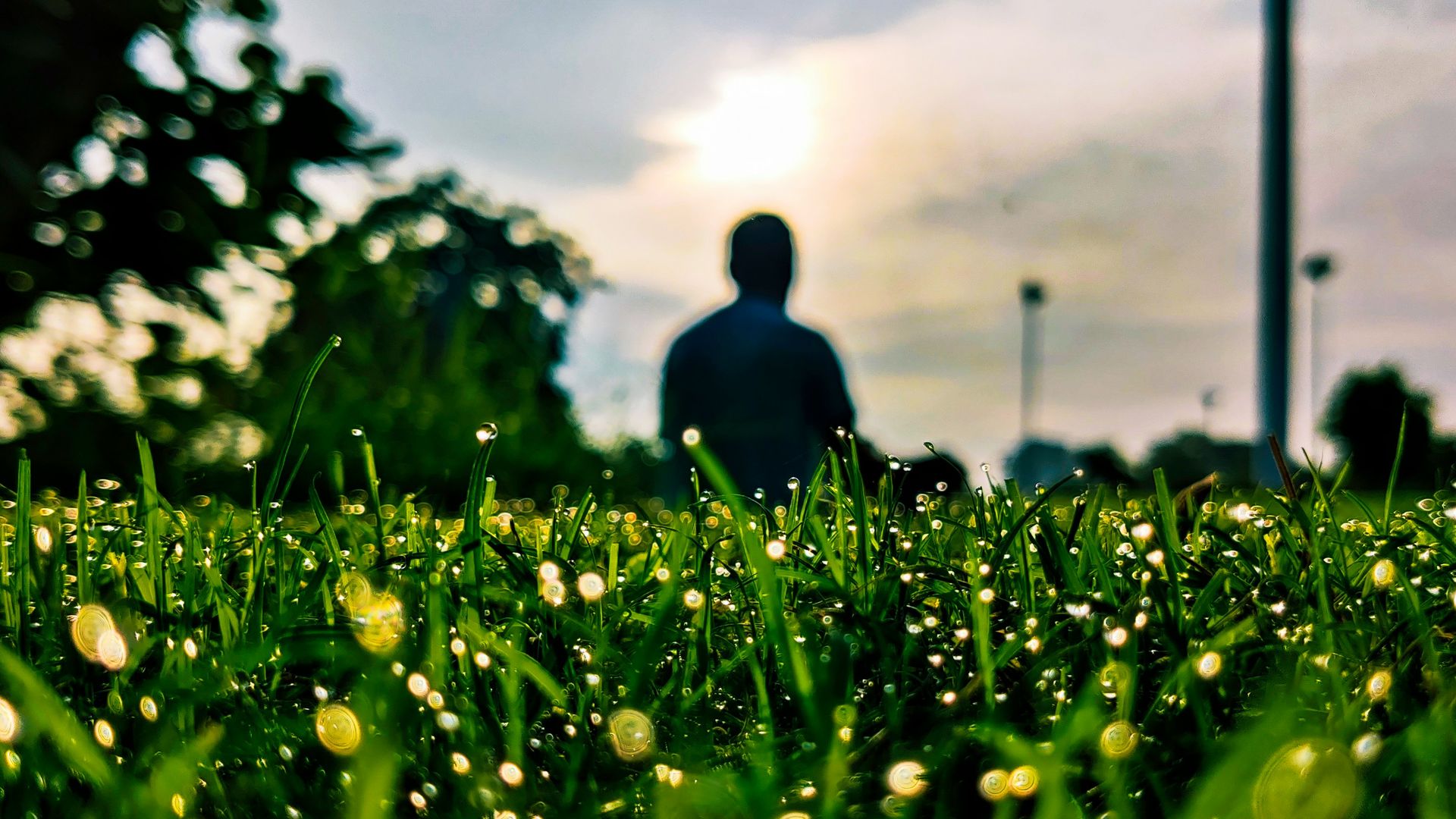 Episode 35: 25-Minute Morning Yoga Practice | Chose how you start your day - with intention, breath and movement