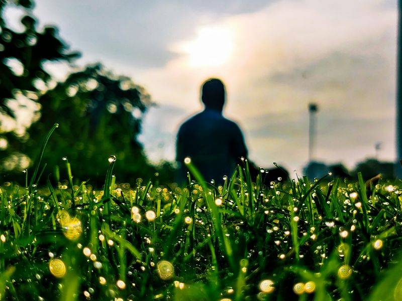 25-Minute Morning Yoga Practice | Chose how you start your day - with intention, breath and movement