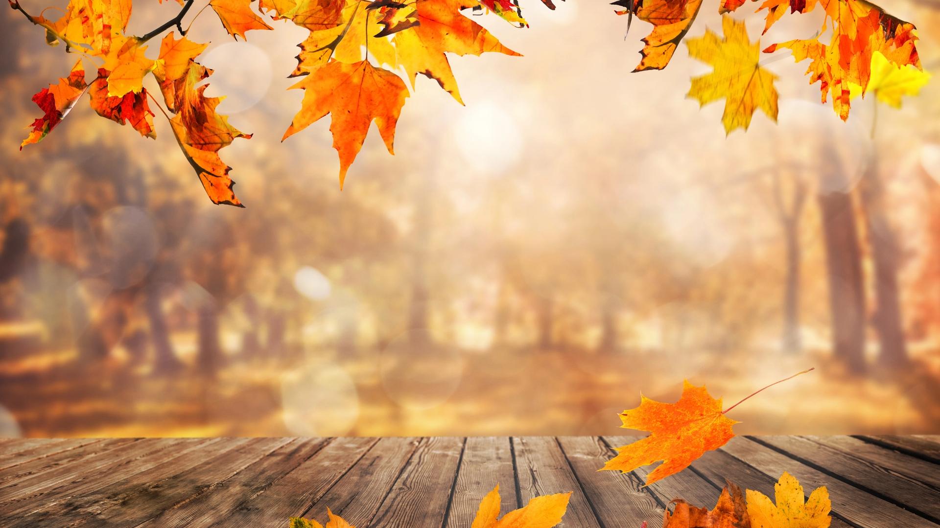 Episode 29: 30-Minute Slow-Flow Vinyasa Yoga | New Beginnings: Embracing Change & Breathing Through Transitions