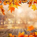 Embracing Change: Breathing Through Transitions