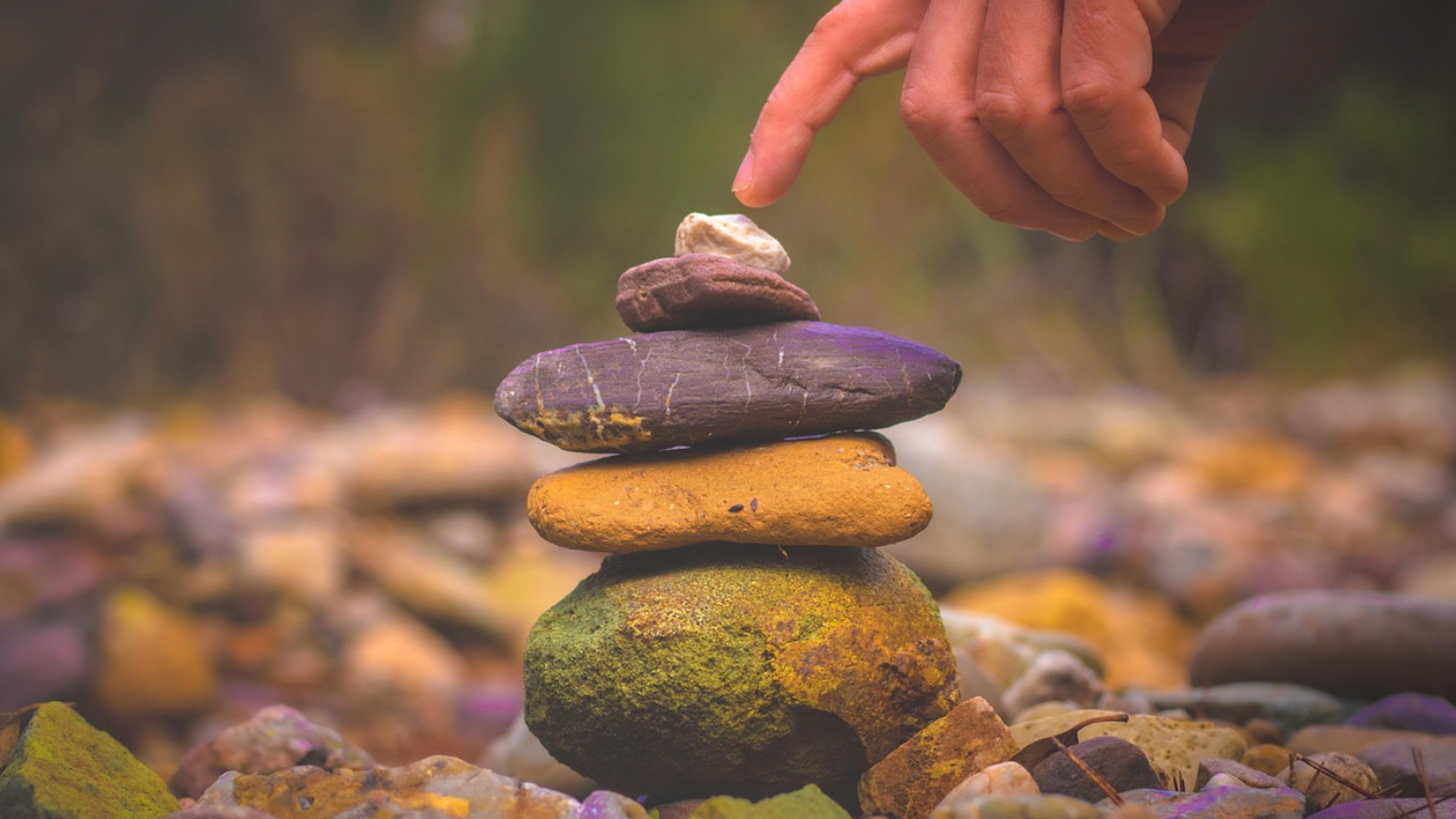 Episode 31: 20-Minute Slow Flow Vinyasa Yoga | Building Foundations: Build on What's Working