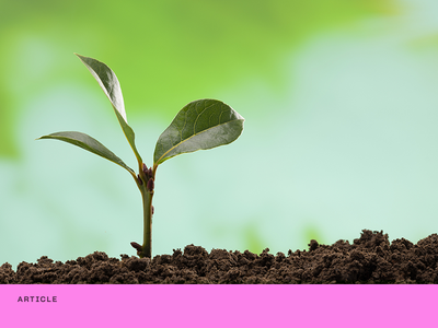 5 companies to help you make a positive environmental impact