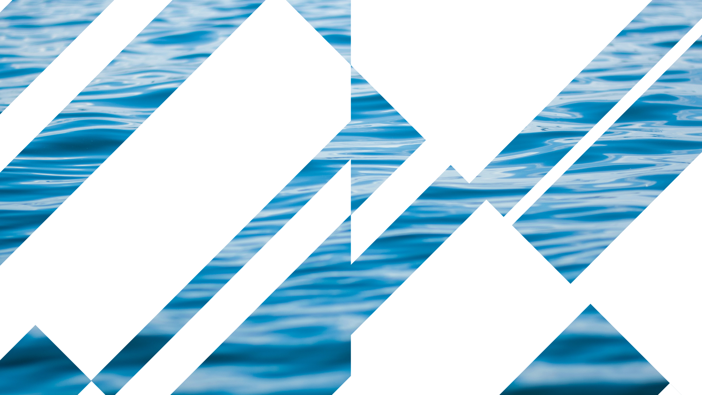 Climate tech founders and portfolio companies