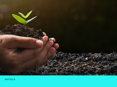 5 lessons learnt from implementing an ‘E’ clause with portfolio companies