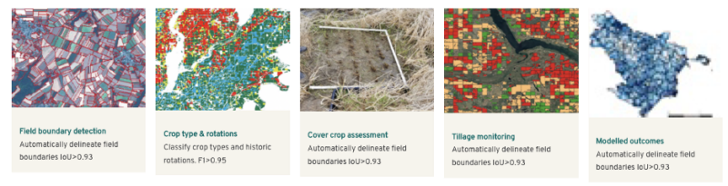 Illustration for Why we invested in Agreena