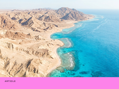 COP(out)27: 3 Major questions