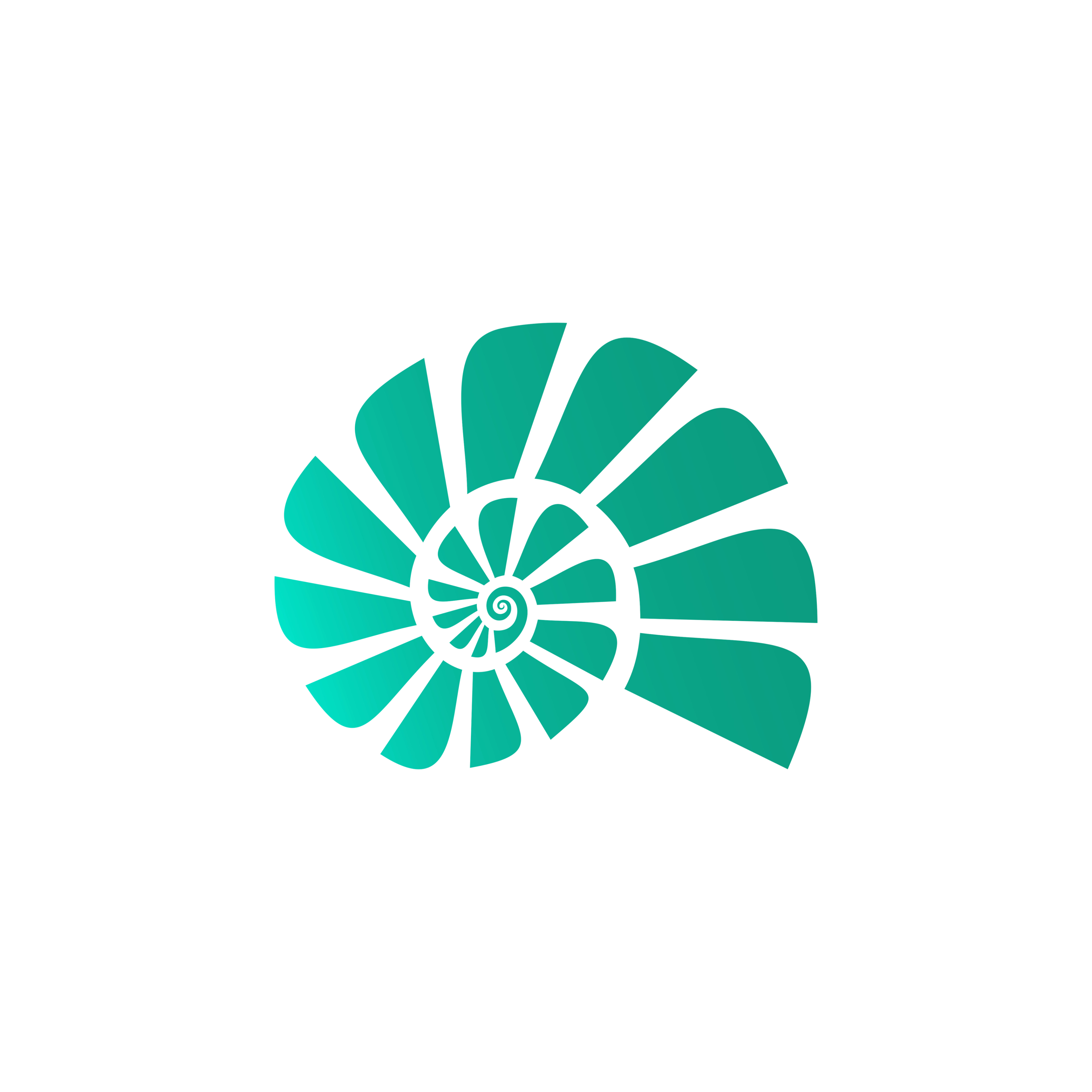 Logo Viajes La Vida de Caracol