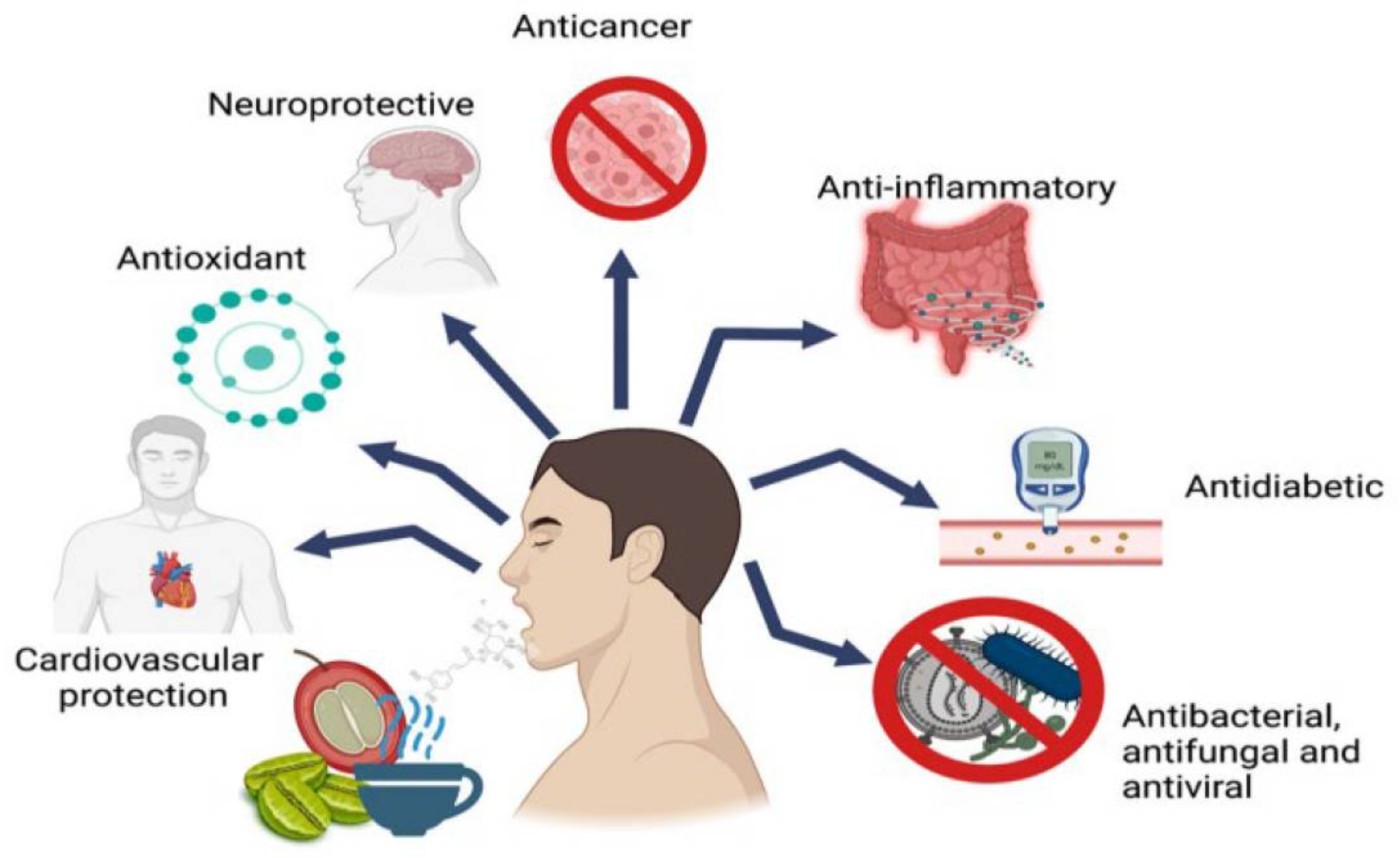 Unlocking the Therapeutic Potential of Coffee’s Chlorogenic Acids