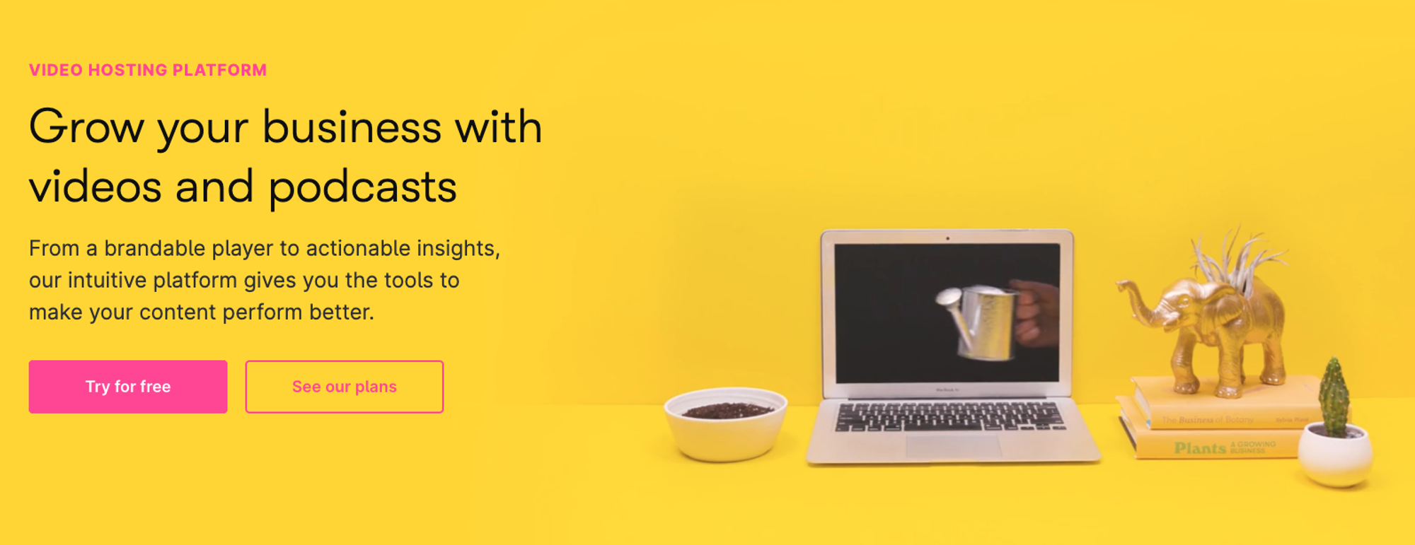 Wistia Primary and Secondary CTA button