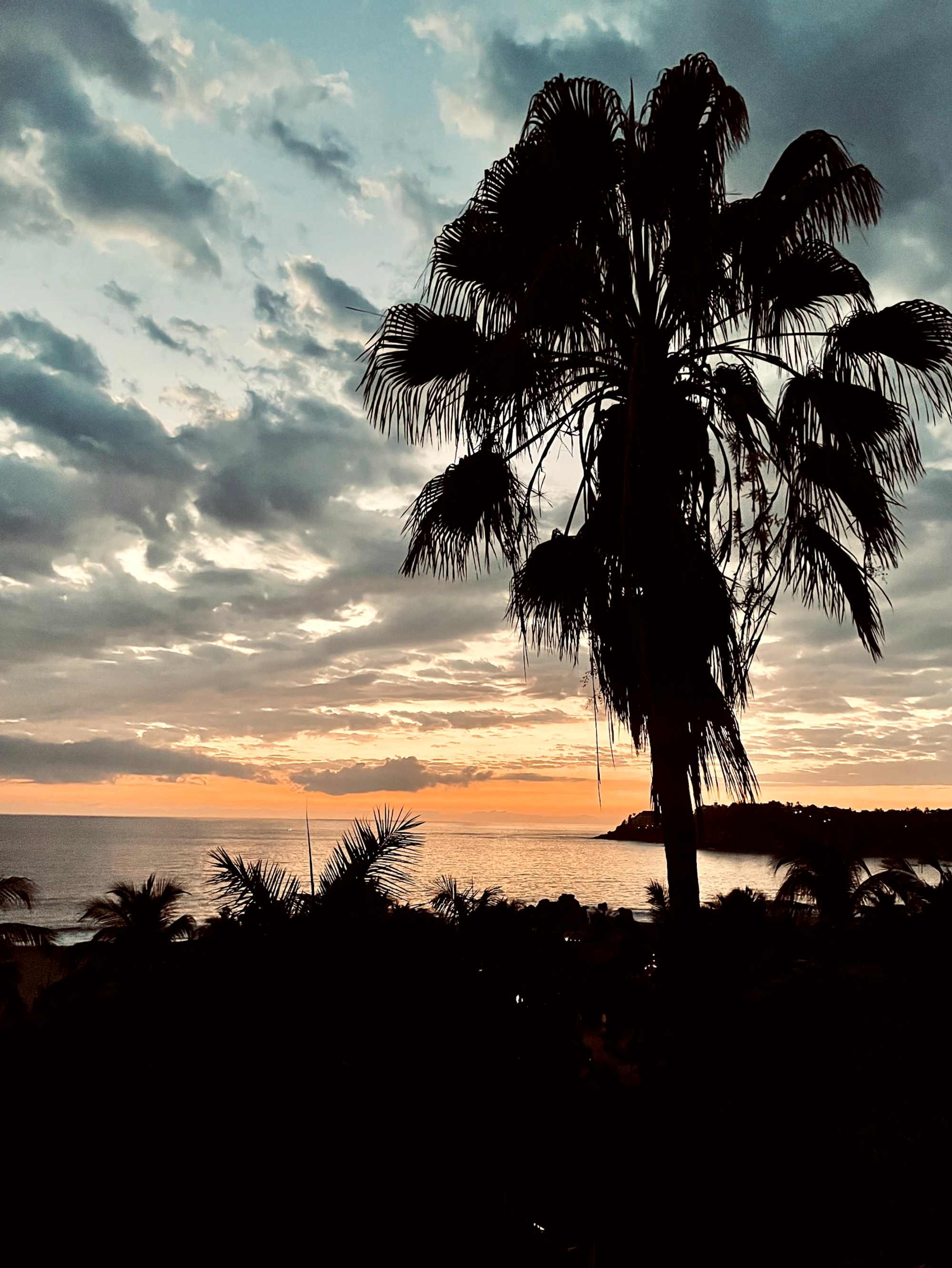 Remote working in Mexico, 2023