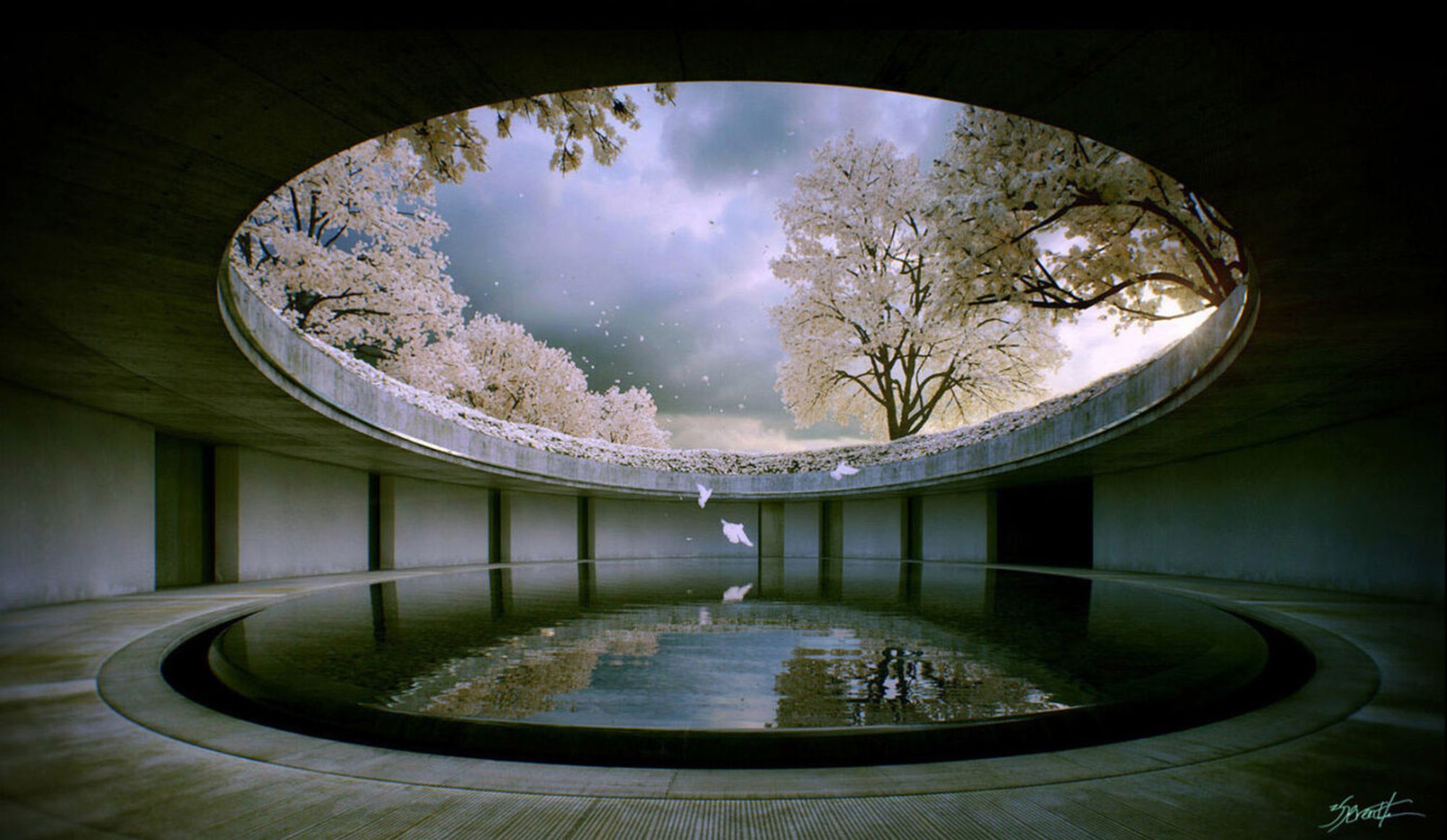 Tadao Ando's The Oval House
