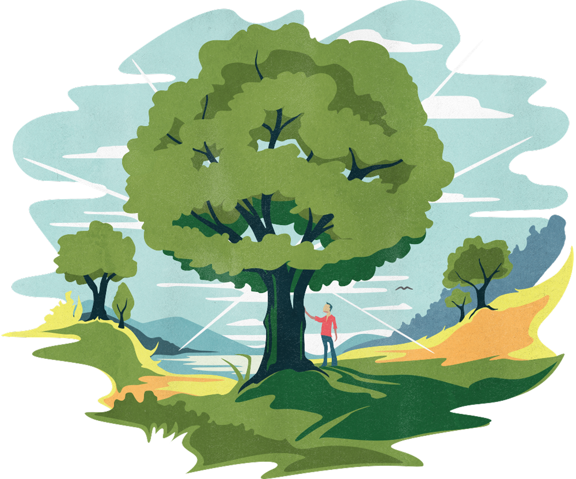 Timer Market Tree illustration by Function & Form