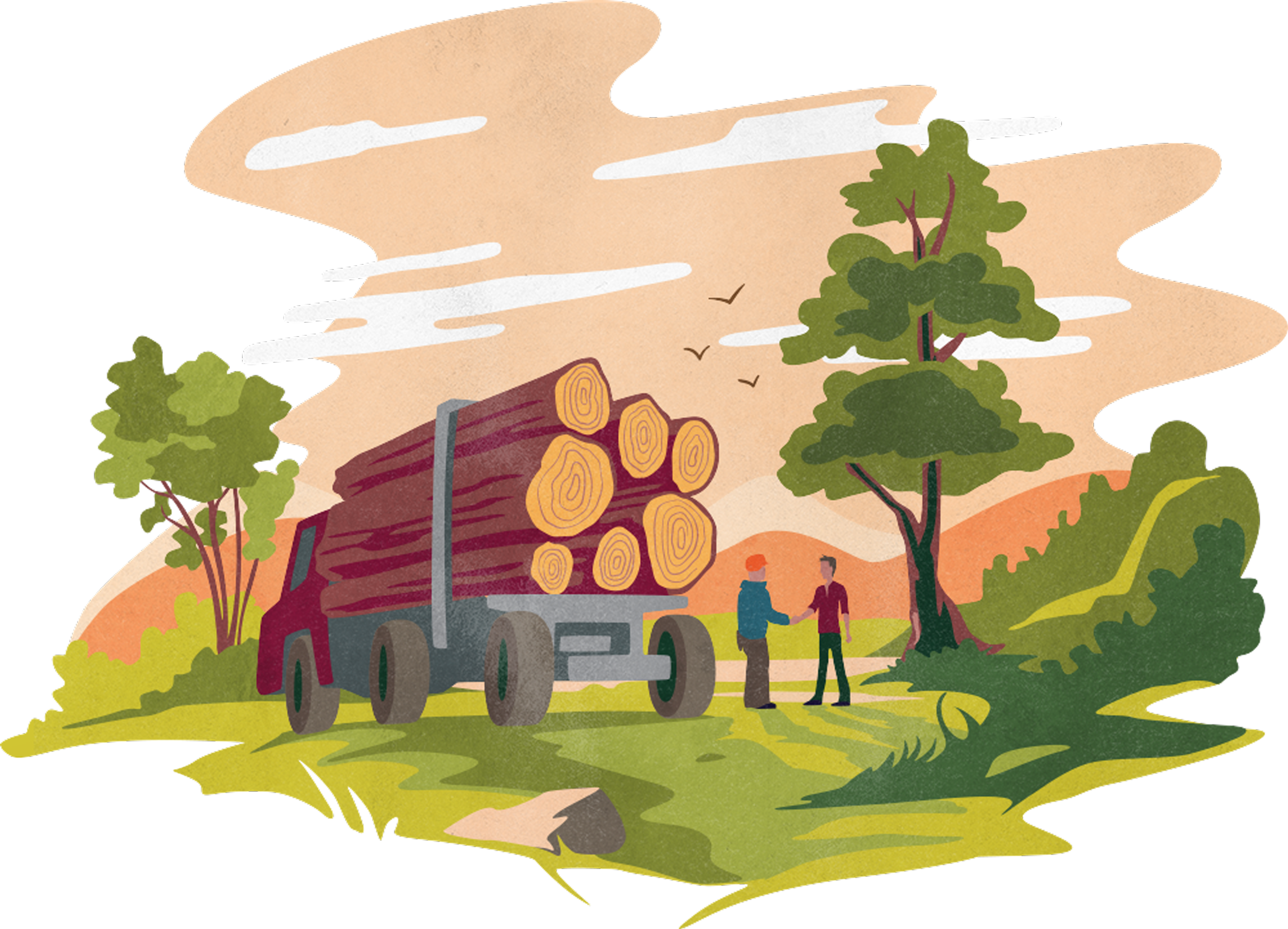 Timer Market logging illustration by Function & Form
