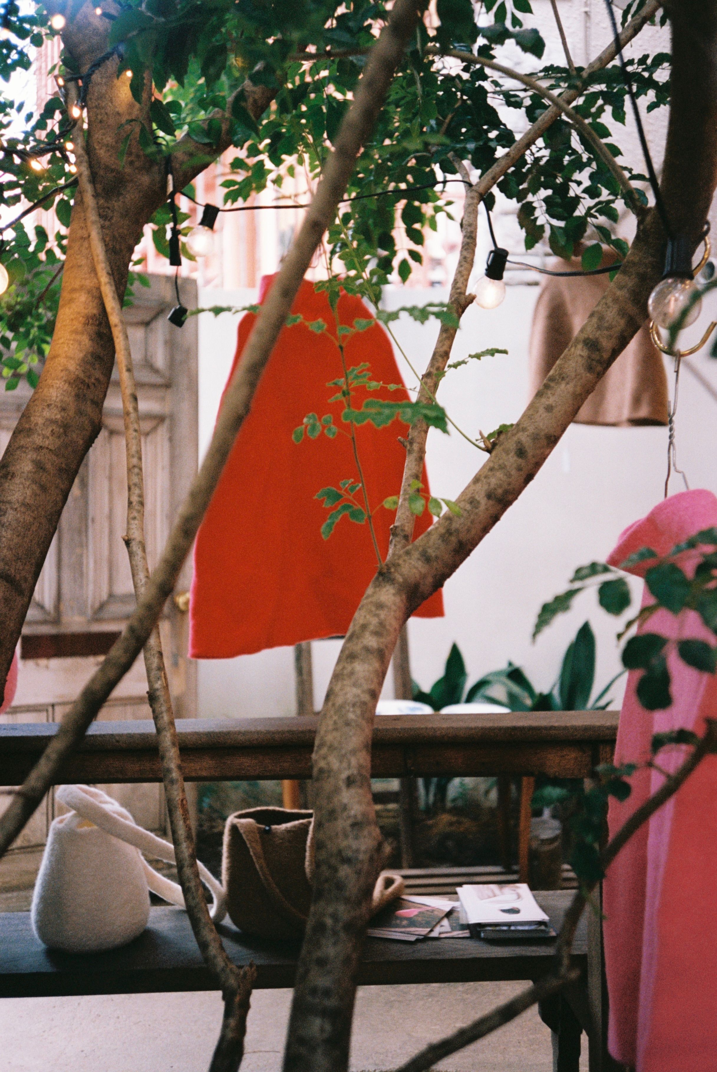 News - Cecilie Telle