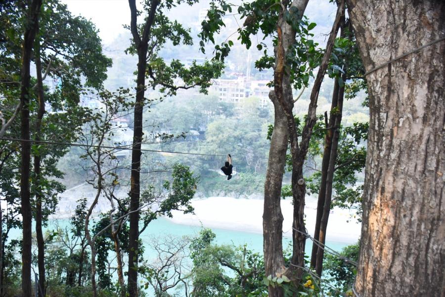 Gliding above the forest