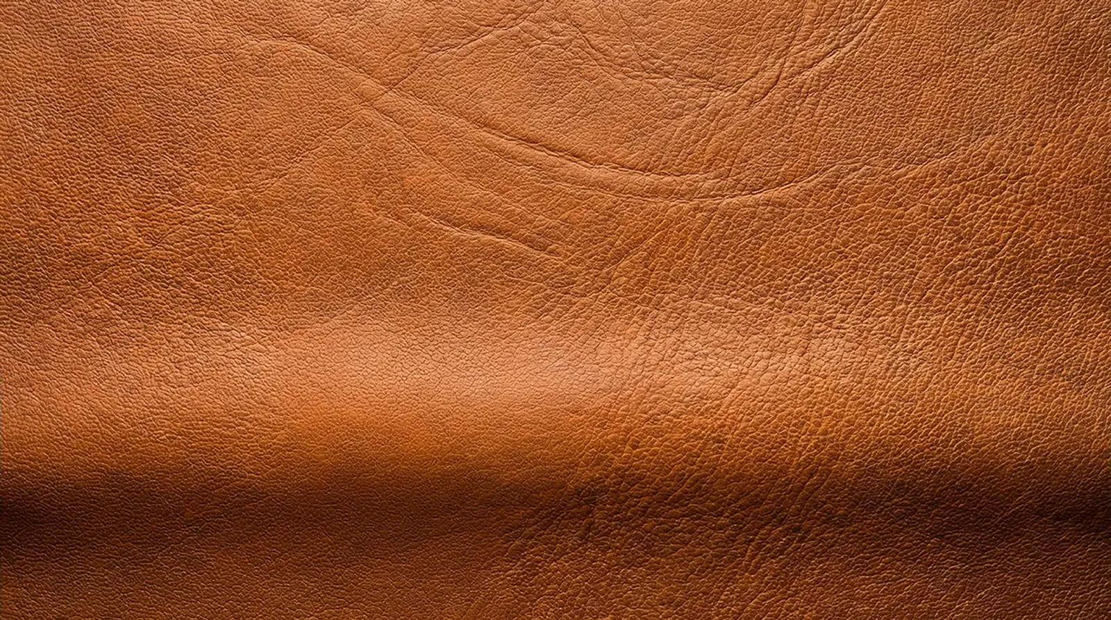 Full Grain vs. Crazy Horse vs. Vegan Leather: A B2B Buyer's Guide to Small Leather Goods