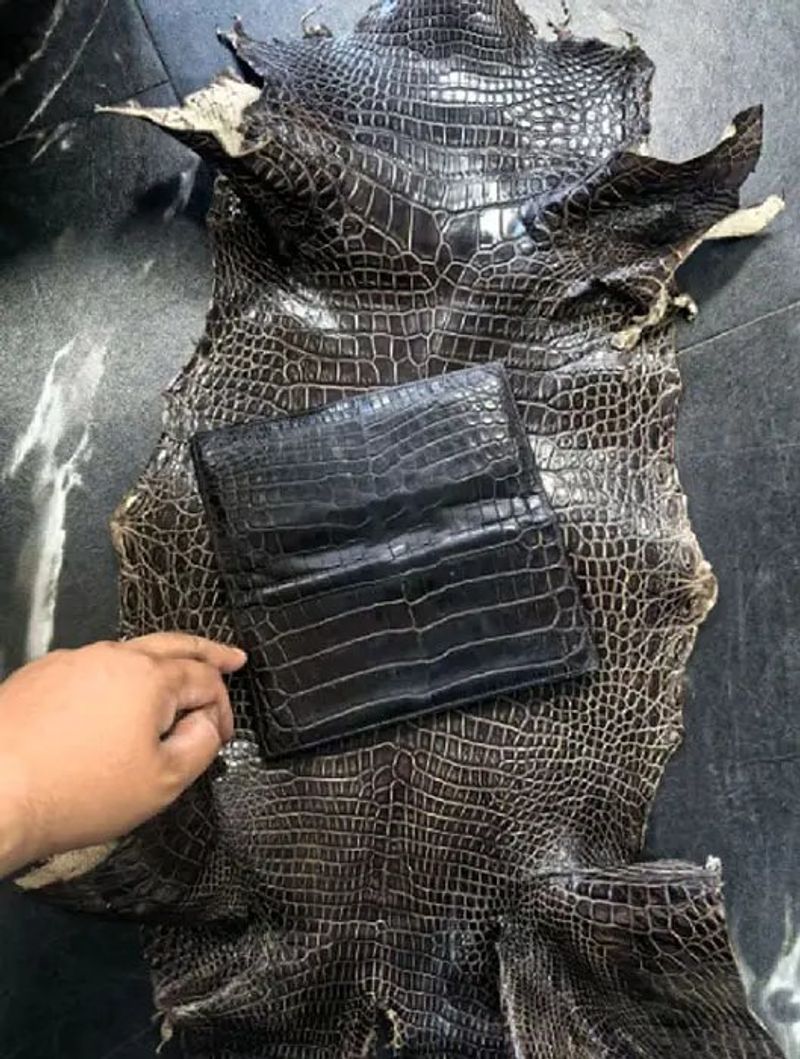 Why a Crocodile Skin Wallet Is Cut From the Belly — And What That Means for Your Order