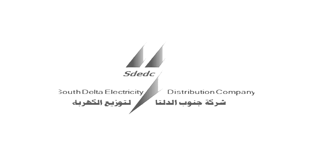 SOUTH DELTA ELECTRICITY