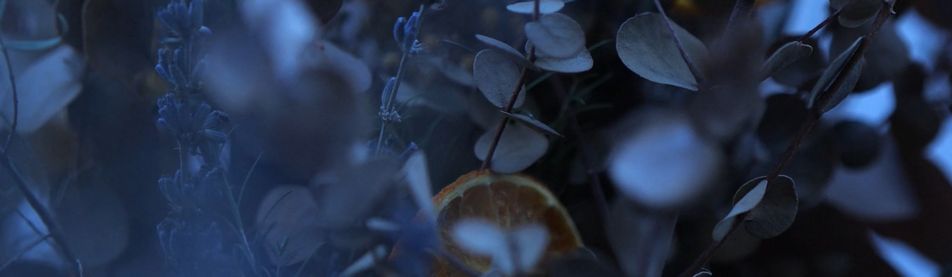 Cover image for Allna Organic - Amazon ad