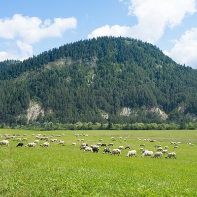 นอนไม่หลับ สมองไม่หยุดคิด