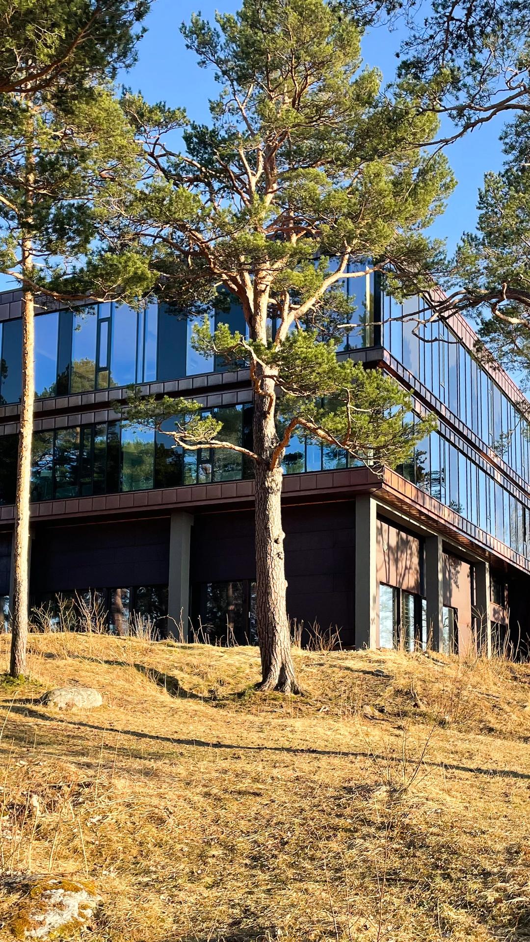 D-bygget på Rotvoll